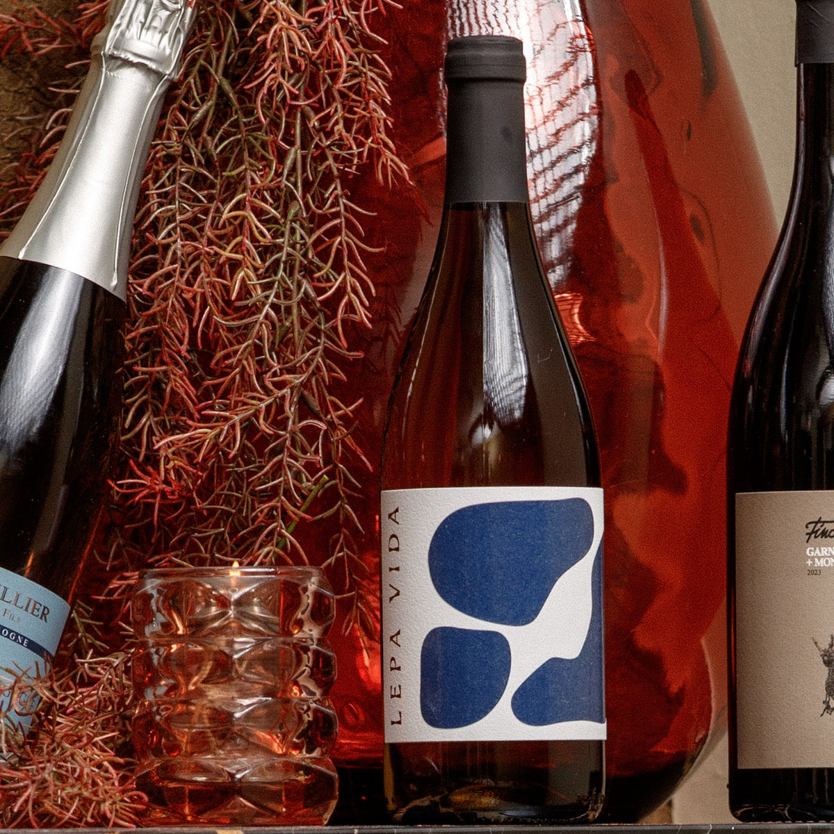 Fles Lepa Vida Sauvignon Blanc 2025, witte wijn uit Vipavska Dolina, Slovenië